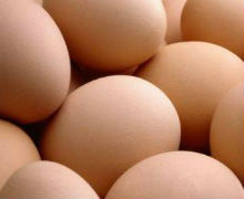 brown-egg
